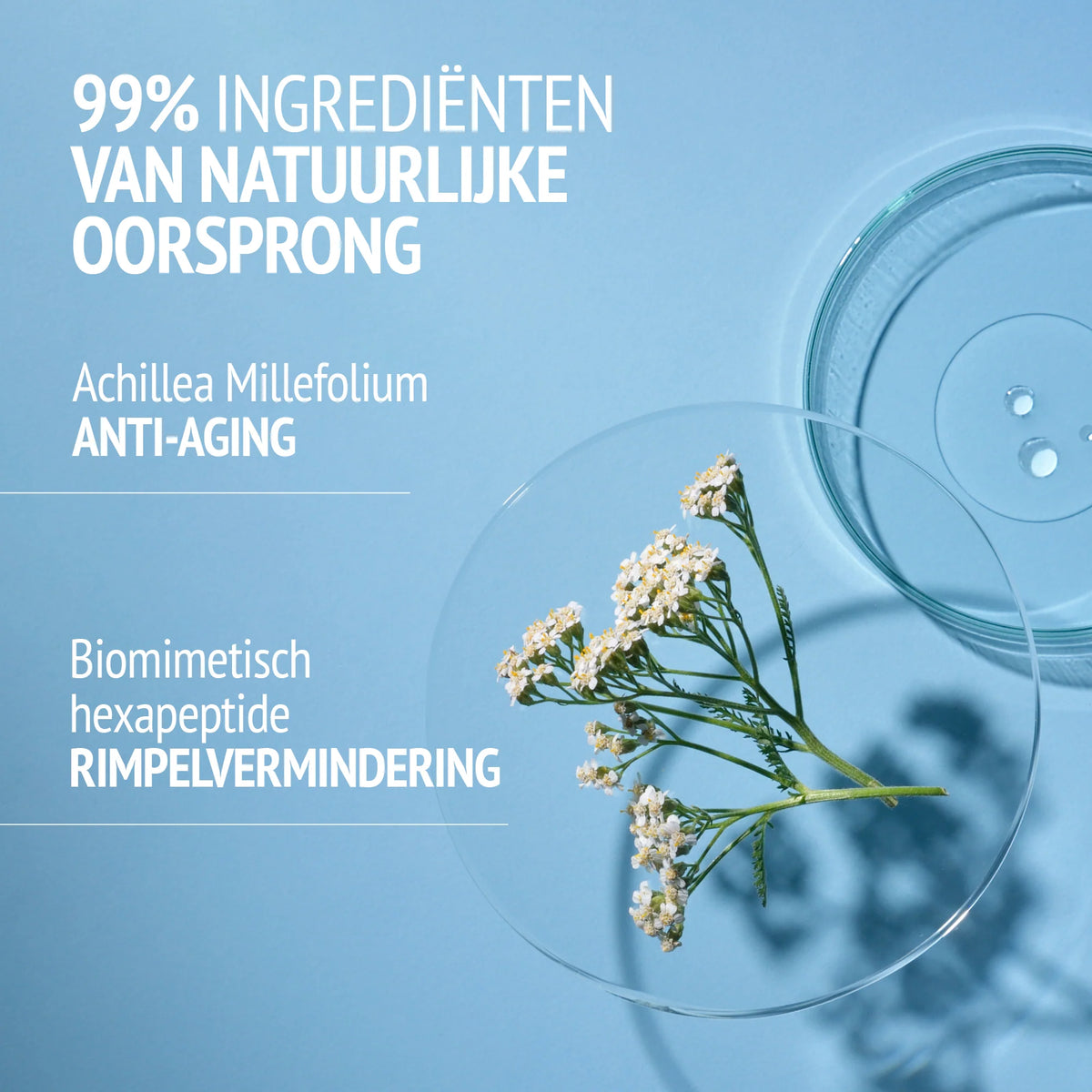 Sublime Skin Intensive Serum 30ml | Comfort Zone
