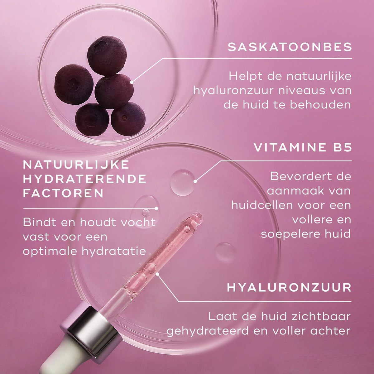 Medik8 Hydr8 B5 Intense 30ml ingredienti principali