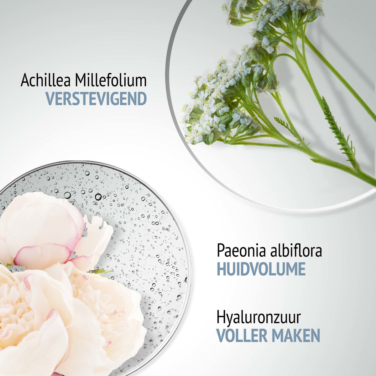 Comfort Zone Sublime Skin Fluid Cream ingredienti