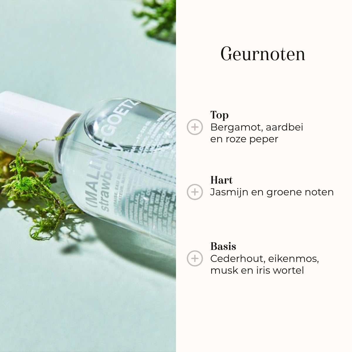 Eau de Parfum - Strawberry geurnoten