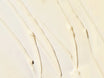 Image Skincare AGELESS+ Retinol - Repair Crème 0.3% Retinol Complex 50g texture