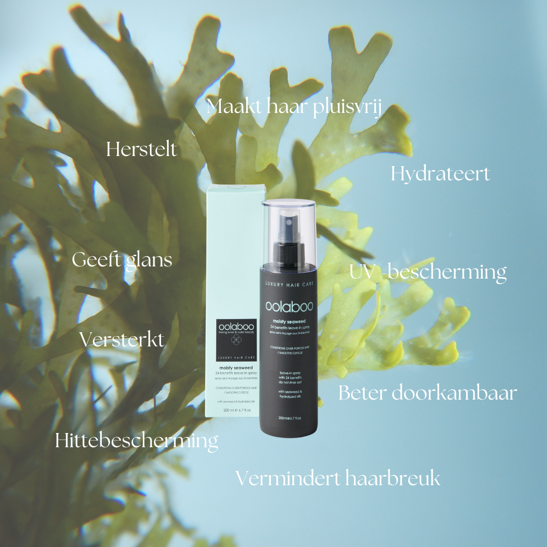Oolaboo Moisty Seaweed 24 Benefits Leave-In Spray benefici tra le alghe