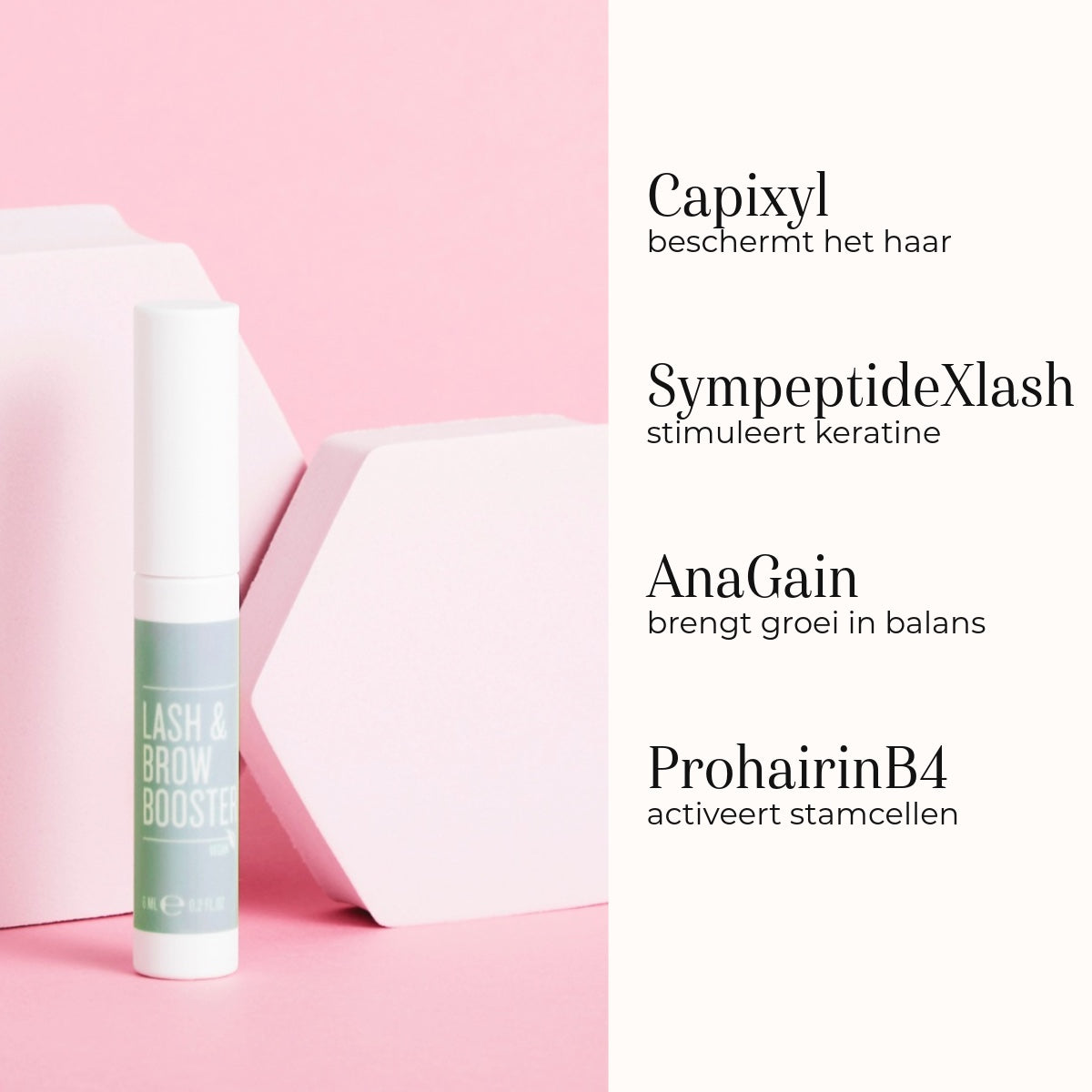 Lash & Brow Booster ingredienti