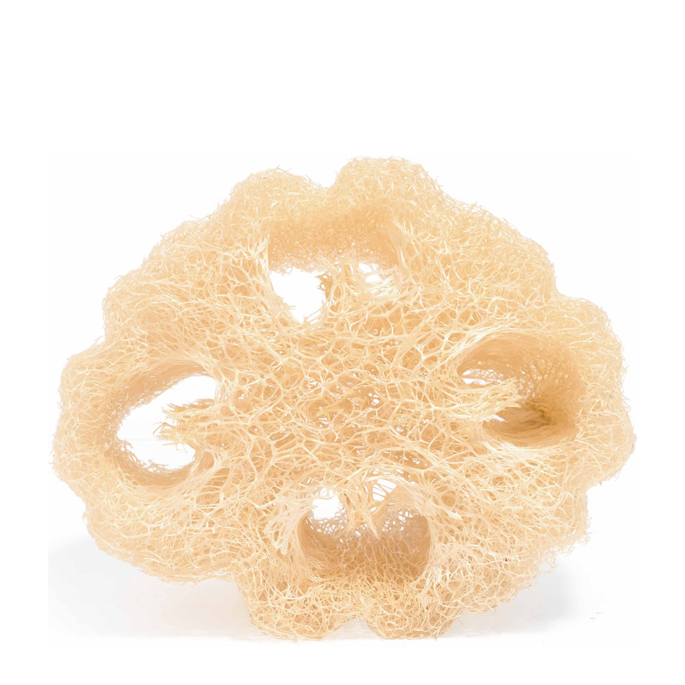 Food for Skin Spugna Loofah Vegetale