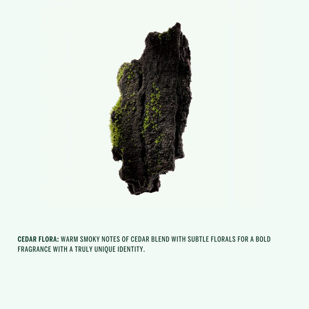 Corpus Naturals Cedar Flora geurnoot cederhout