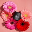 Oolaboo Straight Baobab Pomade tra gerbere rosa