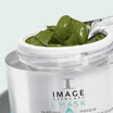 Image Skincare I MASK - Purifying Probiotic Mask texture